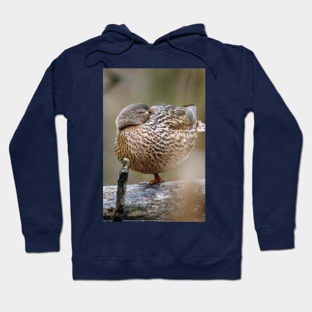 Power Nap Duck Photograph Hoodie by love-fi